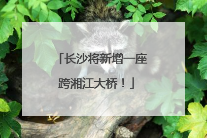 长沙将新增一座跨湘江大桥！