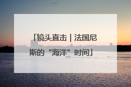 镜头直击｜法国尼斯的“海洋”时间