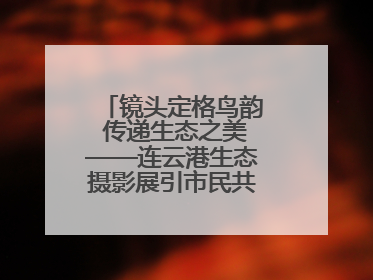 镜头定格鸟韵 传递生态之美——连云港生态摄影展引市民共赏自然之魅