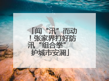 闻“汛”而动！张家界打好防汛“组合拳” 护城市安澜