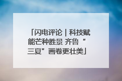 闪电评论｜科技赋能芒种胜景 齐鲁“三夏”画卷更壮美