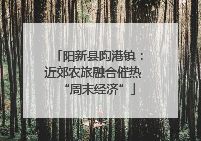 阳新县陶港镇：近郊农旅融合催热“周末经济”
