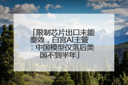 限制芯片出口未能奏效，白宫AI主管：中国模型仅落后美国不到半年