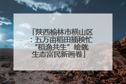 陕西榆林市横山区：五万亩稻田插秧忙 “稻渔共生”绘就生态富民新画卷