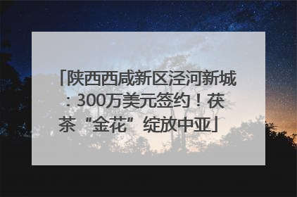 陕西西咸新区泾河新城：300万美元签约！茯茶“金花”绽放中亚