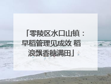 零陵区水口山镇：早稻管理见成效 稻浪飘香穗满田