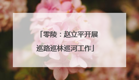 零陵：赵立平开展巡路巡林巡河工作