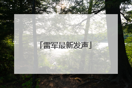 雷军最新发声