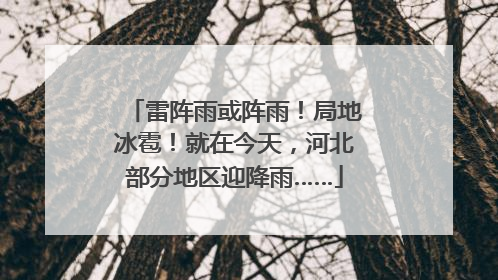 雷阵雨或阵雨！局地冰雹！就在今天，河北部分地区迎降雨……