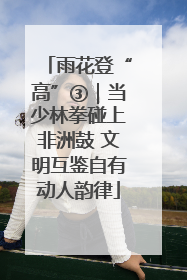 雨花登“高”③｜当少林拳碰上非洲鼓 文明互鉴自有动人韵律