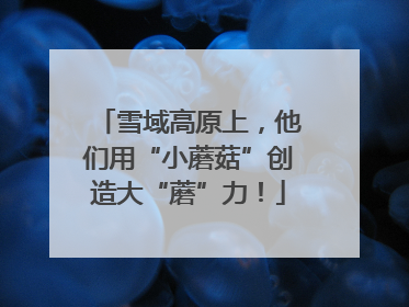 雪域高原上，他们用“小蘑菇”创造大“蘑”力！