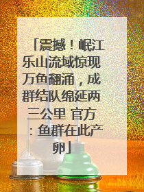 震撼！岷江乐山流域惊现万鱼翻涌，成群结队绵延两三公里 官方：鱼群在此产卵