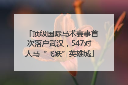 顶级国际马术赛事首次落户武汉，547对人马“飞跃”英雄城
