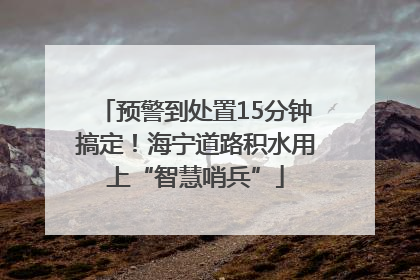 预警到处置15分钟搞定！海宁道路积水用上“智慧哨兵”