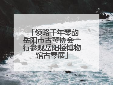 领略千年琴韵 岳阳市古琴协会一行参观岳阳楼博物馆古琴展