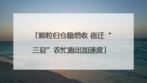 颗粒归仓稳增收 宿迁“三夏”农忙跑出加速度