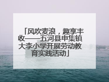 风吹麦浪，趣享丰收——五河县申集镇大李小学开展劳动教育实践活动
