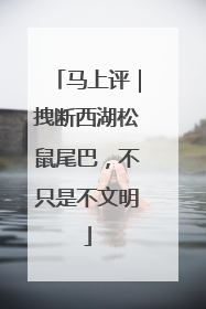 马上评｜拽断西湖松鼠尾巴，不只是不文明