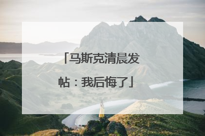 马斯克清晨发帖：我后悔了