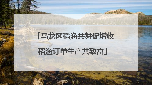马龙区稻渔共舞促增收 稻渔订单生产共致富