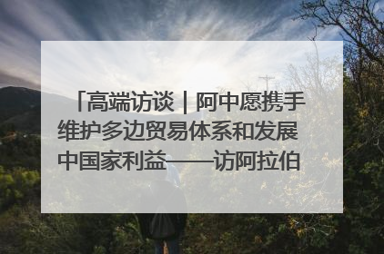 高端访谈｜阿中愿携手维护多边贸易体系和发展中国家利益——访阿拉伯议会议长亚马希