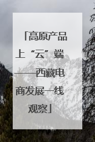 高原产品上“云”端——西藏电商发展一线观察