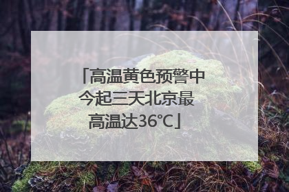 高温黄色预警中 今起三天北京最高温达36℃