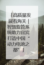 高质量发展看海关｜智慧监管系统助力宜宾打造中国“动力电池之都”