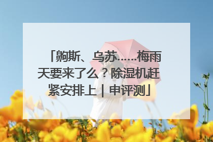 齁斯、乌苏……梅雨天要来了么？除湿机赶紧安排上｜申评测