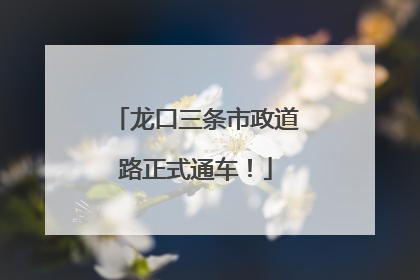 龙口三条市政道路正式通车！