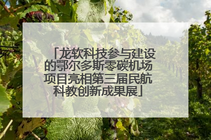 龙软科技参与建设的鄂尔多斯零碳机场项目亮相第三届民航科教创新成果展
