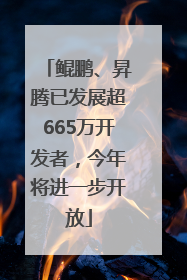 鲲鹏、昇腾已发展超665万开发者，今年将进一步开放