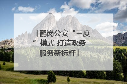 鹤岗公安“三度”模式 打造政务服务新标杆