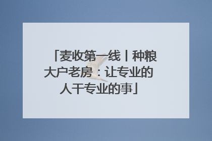 麦收第一线丨种粮大户老房：让专业的人干专业的事