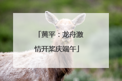 黄平：龙舟激情开桨庆端午