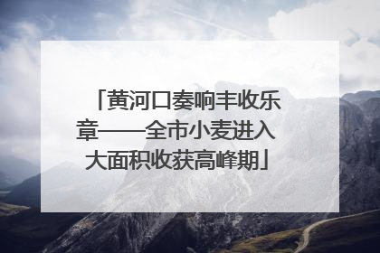 黄河口奏响丰收乐章——全市小麦进入大面积收获高峰期