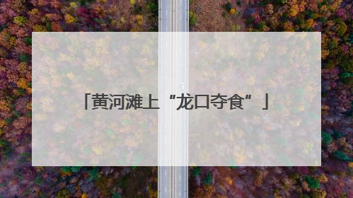 黄河滩上“龙口夺食”