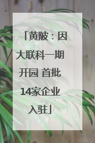 黄陂：因大联科一期开园 首批14家企业入驻