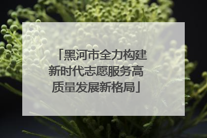 黑河市全力构建新时代志愿服务高质量发展新格局