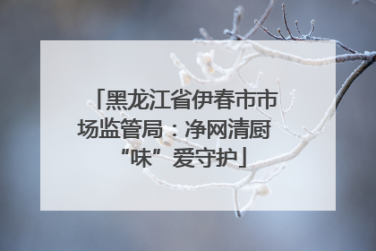 黑龙江省伊春市市场监管局：净网清厨 “味”爱守护