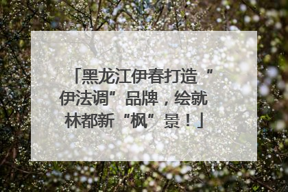 黑龙江伊春打造“伊法调”品牌，绘就林都新“枫”景！