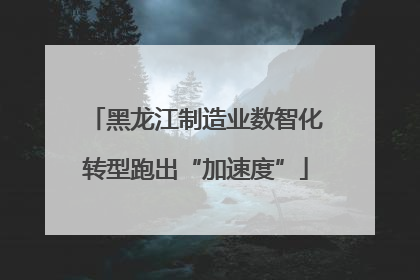 黑龙江制造业数智化转型跑出“加速度”