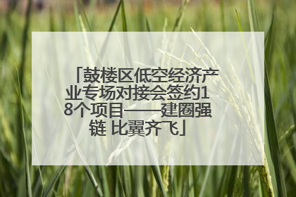鼓楼区低空经济产业专场对接会签约18个项目——建圈强链 比翼齐飞