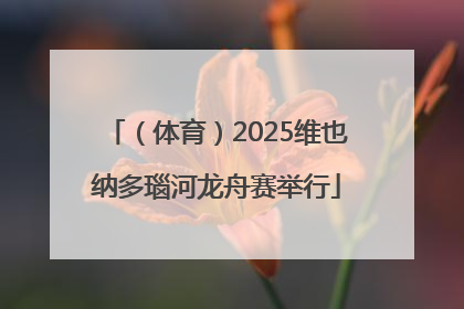 （体育）2025维也纳多瑙河龙舟赛举行