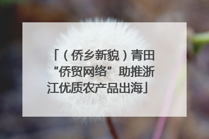 （侨乡新貌）青田“侨贸网络”助推浙江优质农产品出海
