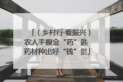 （乡村行·看振兴）农人手握金“药”匙 药材种出好“钱”景