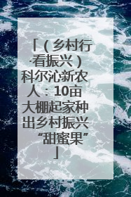 （乡村行·看振兴）科尔沁新农人：10亩大棚起家种出乡村振兴“甜蜜果”
