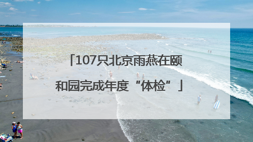 107只北京雨燕在颐和园完成年度“体检”