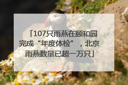 107只雨燕在颐和园完成“年度体检”，北京雨燕数量已超一万只
