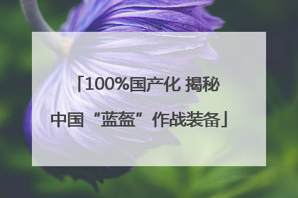 100%国产化 揭秘中国“蓝盔”作战装备